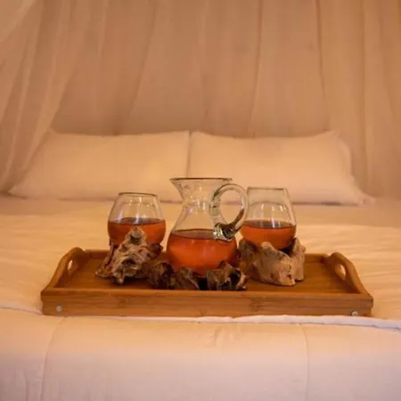 Foga Hebrus 4* קסאמיל